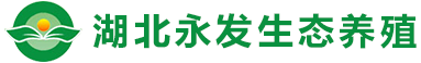 湖北91抖音下载导航生态抖音黄色视频有限公司